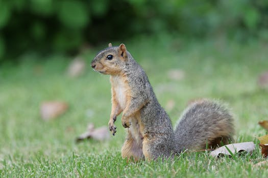 image_1769039999_1