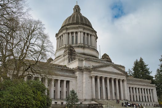 Unmasking the Emerald City’s Tint: A Deep Dive into Washington’s Window Tint Laws
