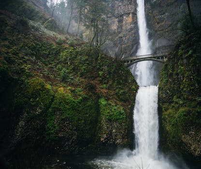 Beyond the Surface: A Deeper Dive into Greater Falls Insurance