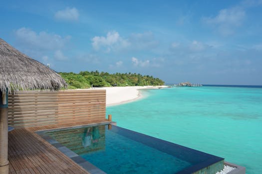 Decoding the Art of Lifestyle Hosting: More Than Just a Pretty Face