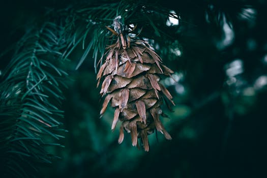 Navigating the Helm: Understanding the Douglas County Colorado Board of Education