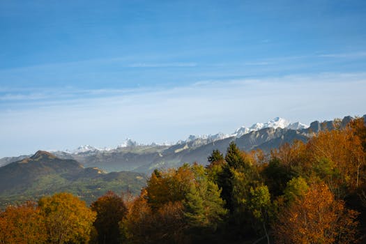 image_1769161184_1