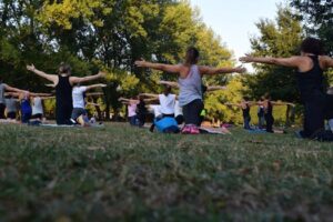 Unpacking the “Adult Lifestyle”: Is It What We Think?