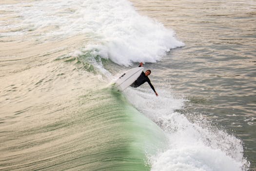 Riding the Wave: Unearthing the Best Surf Industry Exhibitors for Resort and Coastal Lifestyles